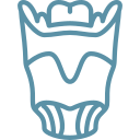 shape